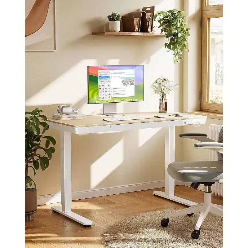 Scrivania in piedi da 48 x 24 pollici con cassetto, Scrivania elettrica in piedi con piano unico, Scrivania regolabile in altezza con porte di ricarica USB